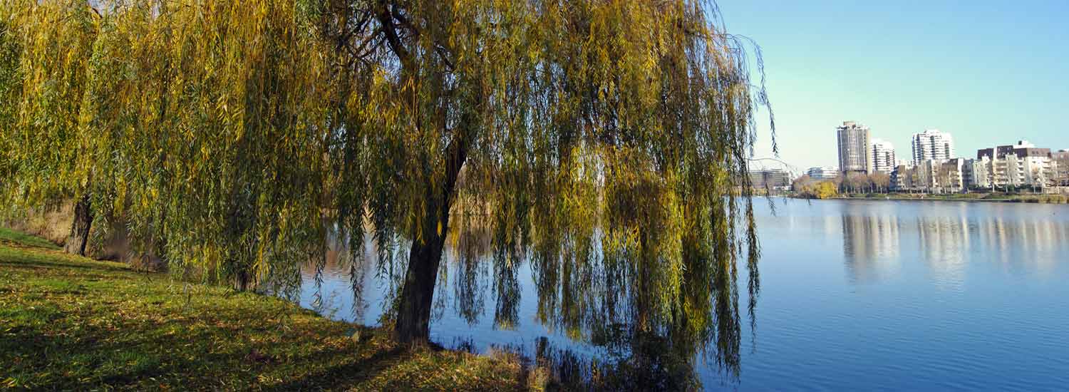 Lac de Créteil