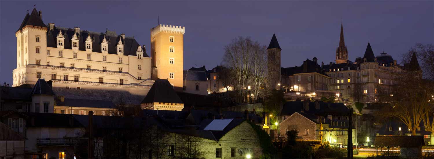 Le Château de Pau de nuit  width=